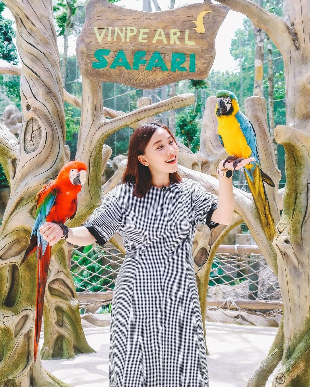 Kinh nghiệm đi Vinpearl Safari Phú Quốc [Lời khuyên Hữu ích nhất] 5