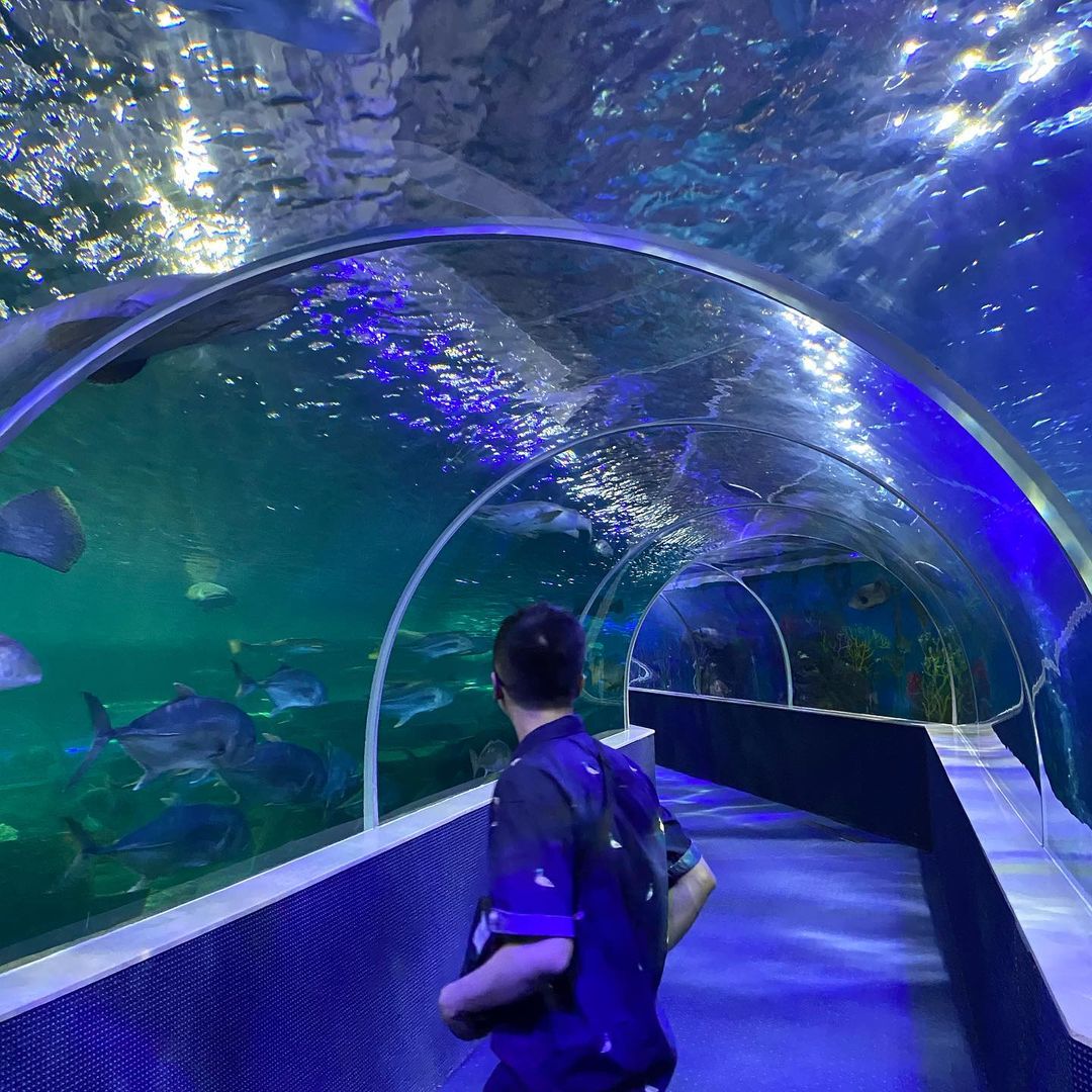 Kinh nghiệm đi VinWonders Phú Quốc 2021 [Súc Tích Dễ Hiểu] 10