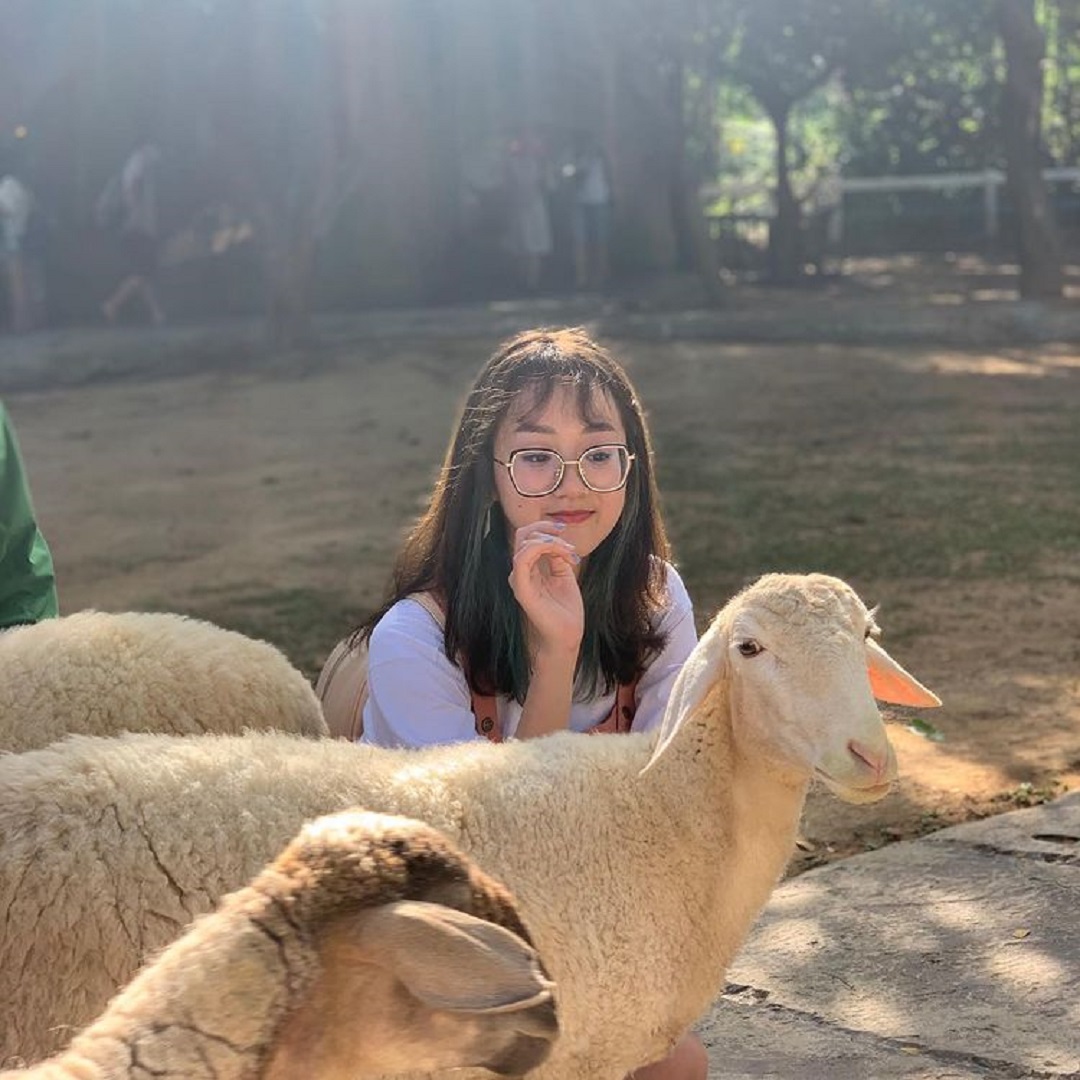 Kinh nghiệm đi Vinpearl Safari Phú Quốc [Lời khuyên Hữu ích nhất]