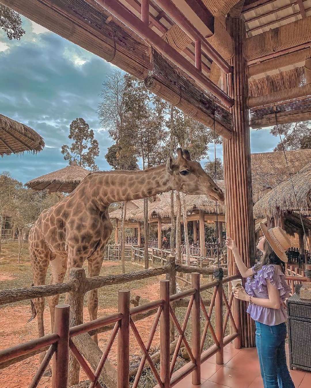 Kinh nghiệm đi Vinpearl Safari Phú Quốc [Lời khuyên Hữu ích nhất]