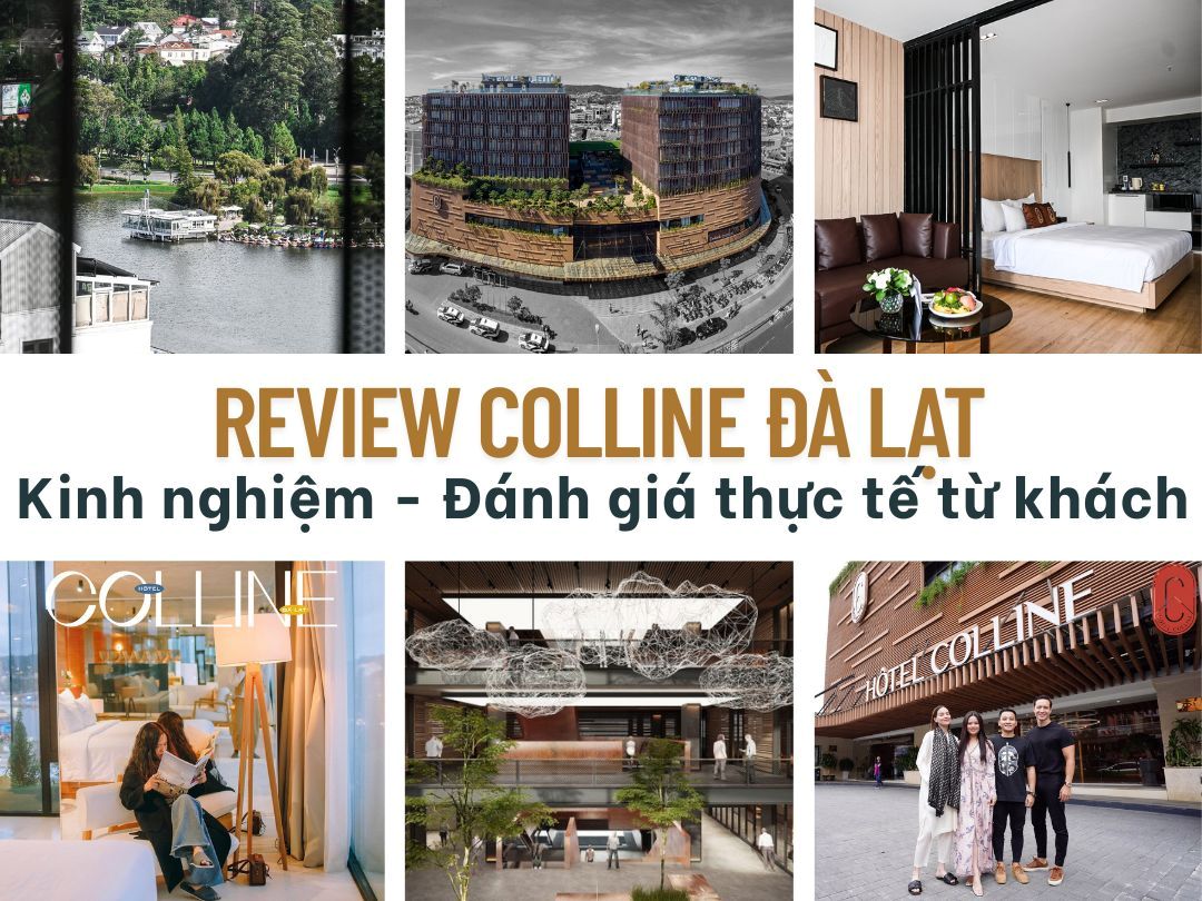 Tổng hợp review Colline Hotel Đà Lạt