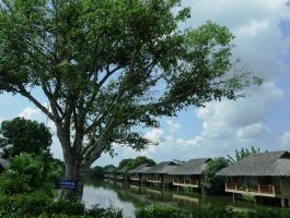 Voucher Mekong Riverside Boutique Resort Tiền Giang