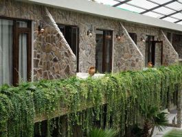 Anket De’ River Mũi Né