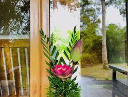 alba-wellness-resort-hue-by-fusion-2