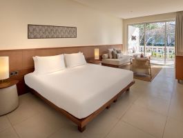 Deluxe Suite Pool View