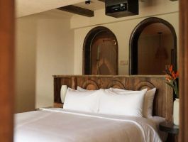 b22a215fa69c20d2cf9fa70ca9ad7008