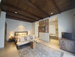 Junior Suite Beachfront