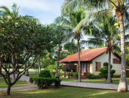 Bungalow Garden View
