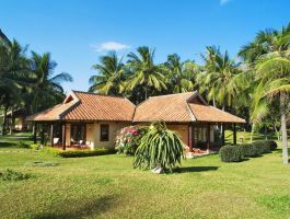 Bungalow Garden View