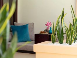 Deluxe Ban Công (2)