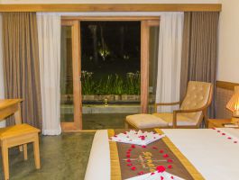 Deluxe hướng vườn (4)