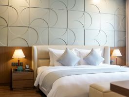 Deluxe Master King (1)