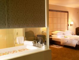 Deluxe Sea View (3)