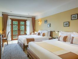 Classic Wing - Family