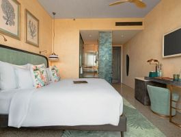 Classic Mountain View2