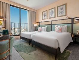 Classic Mountain View