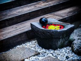 Palm Garden Suite (5)