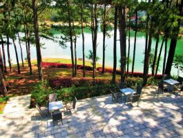 Premium King Villa room - Lake view