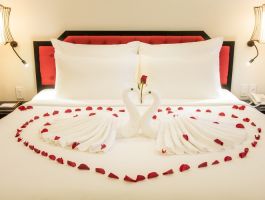 senior-deluxe-double-2