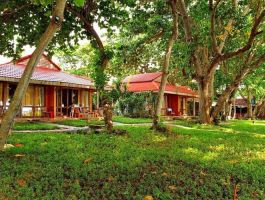 Voucher Tân Sơn Nhất Côn Đảo Resort