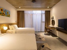 Pansy 02 - 03 - 04/3