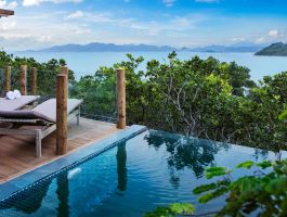 Treetop Pool Villa (2)