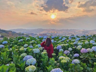 Kinh nghiệm du lịch Đà Lạt tháng 6 - Chào hè trĩu quả