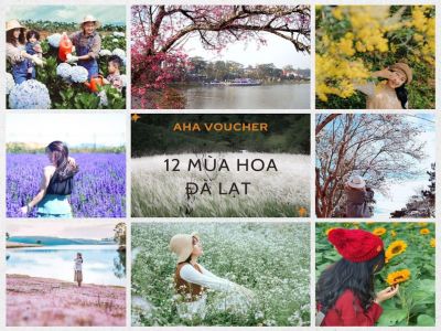 12 mùa hoa Đà Lạt - Ngạt ngào hương sắc suốt 12 tháng