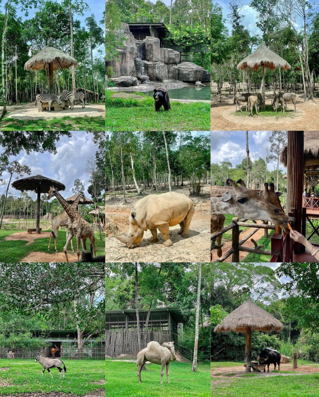 Kinh nghiệm đi VinWonders Phú Quốc 2021 [Súc Tích Dễ Hiểu] 13